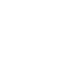 NIU BOT